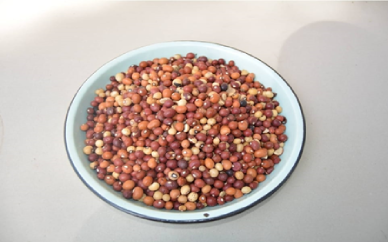 Bambara Nuts